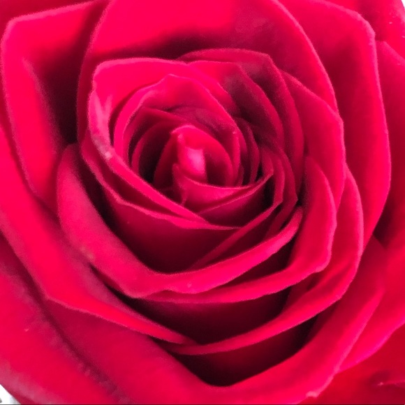 Meet your Posher, Miranda - Picture 1 of 1